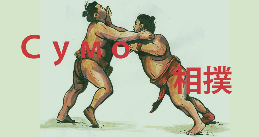 Борцы сумо сражаются друг с другом