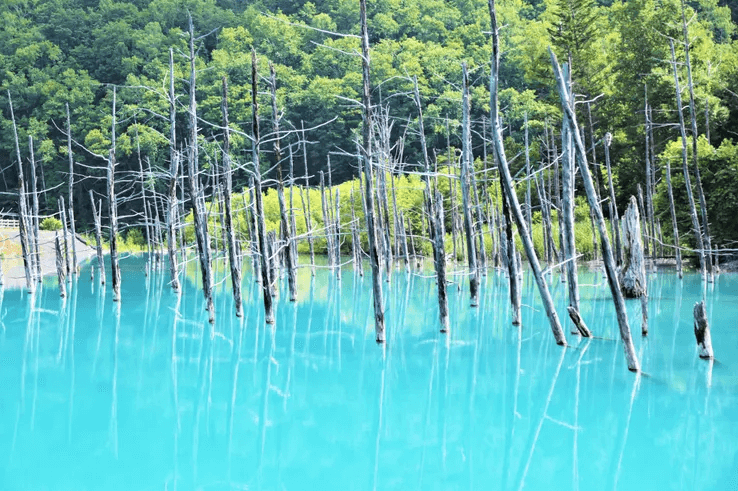 Хоккайдо голубой пруд