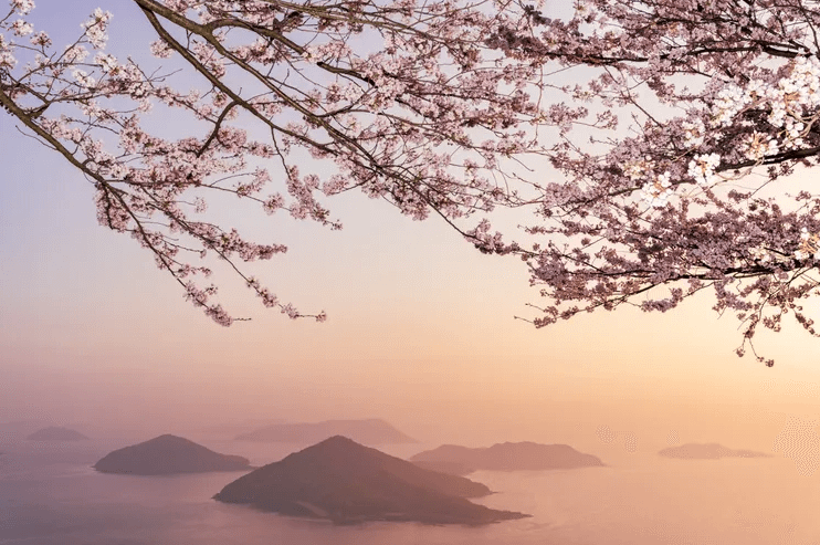 Остров Сикоку: 12  самых фотогеничных мест