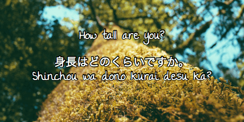 Японские вопросы Какой у тебя рост?