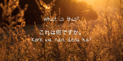 Японские вопросы 【как задавать и как отвечать на них】