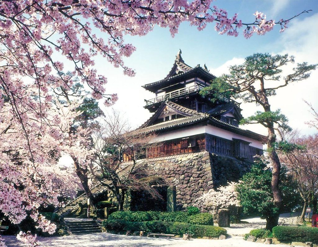 Замок Маруока и сакура