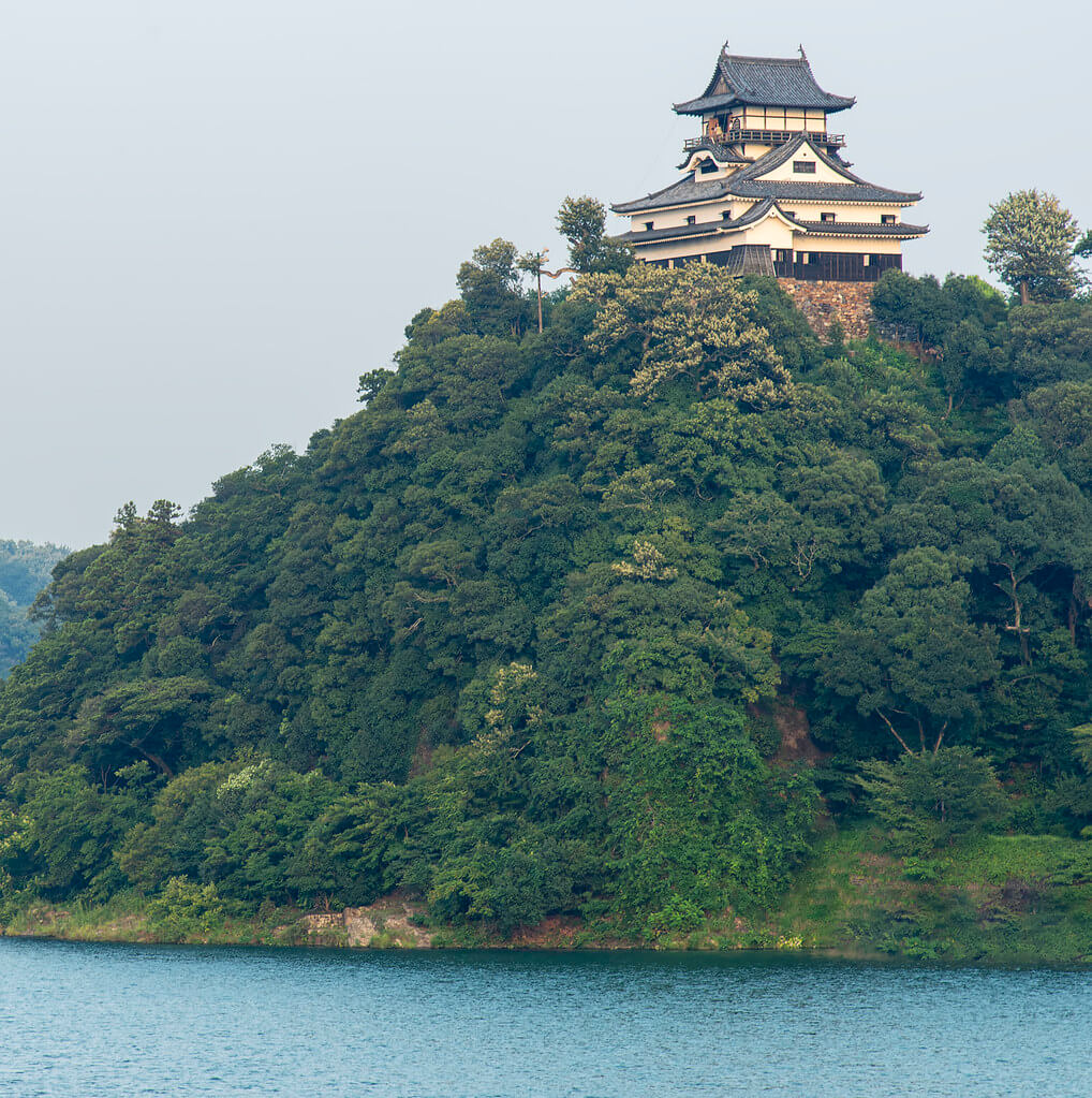 Замок Инуяма на холме