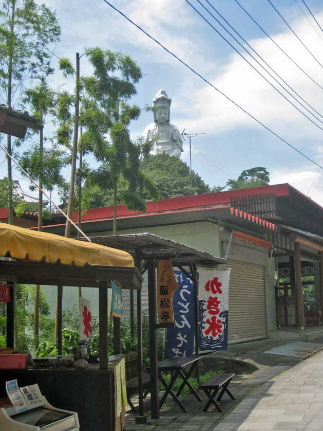 Торговая улица с Бьякуэ Каннон на заднем плане, Такасаки, Гунма