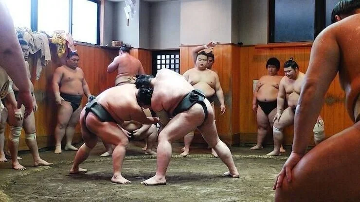 Тренировка сумо
